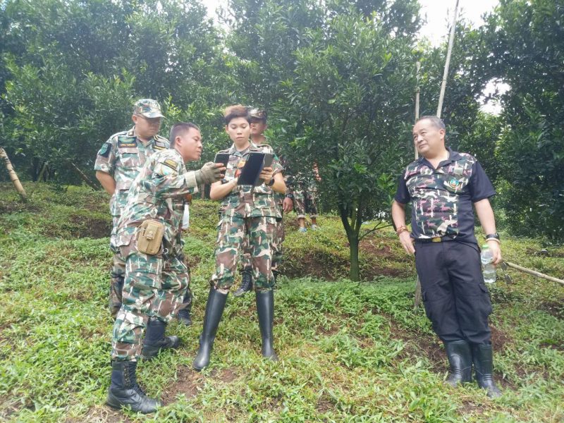 เชียงใหม่   อำเภอแม่อายพญาเสืออุทยานดอยผ้าห่มปกตรวจยึดสวนส้มบุกรุกที่ป่า