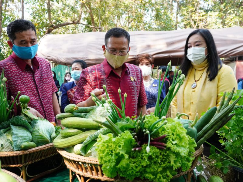 พช.และมูลนิธิรักษ์ดิน รักษ์น้ำ (Earthsafe) พัฒนาการสร้างมาตรฐานผลผลิต แปรรูป และการตลาดตามมาตรฐานอินทรีย์วิถีไทย