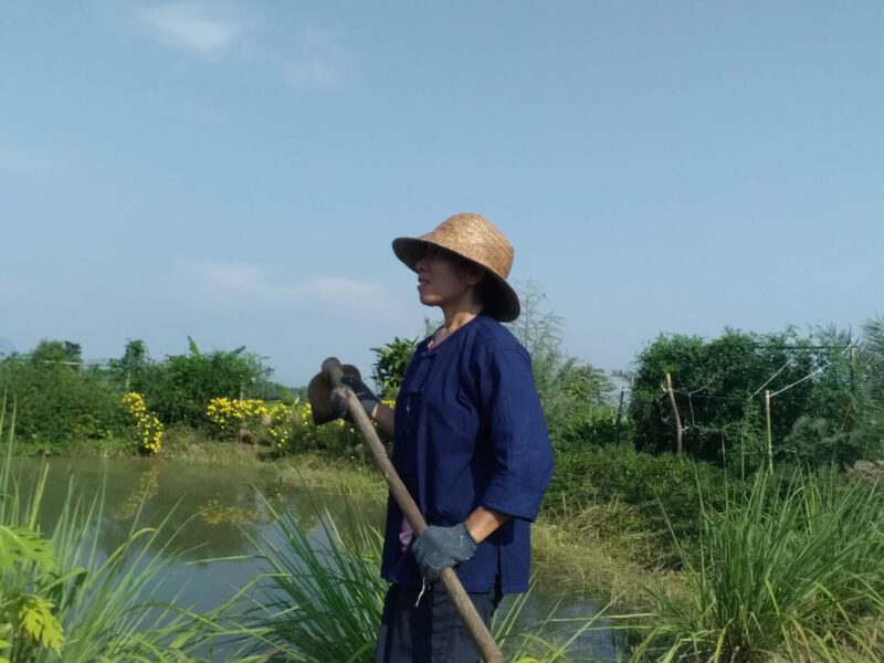 เพชรบูรณ์   บทเรียนความสำเร็จ โคก หนอง นา ไร่พูนทรัพย์กรีน